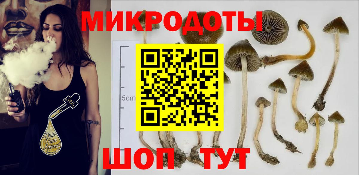 Псилоцибиновые грибы MAGIC MUSHROOMS  Псилоцибиновые грибы Psilocybe  Вход с VPN  Курчатов 